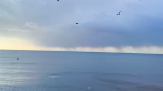 VID 20241222 102903034.mp4