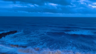 VID 20241231 164456438.mp4