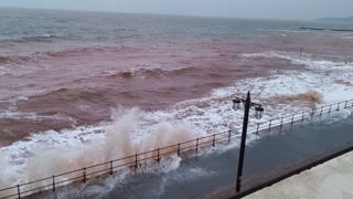 VID 20250214 073053508.mp4