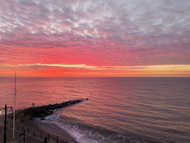 IMG 20250114 074946729