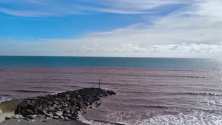 VID 20250302 122155179.mp4